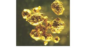 > </div>
<div class=